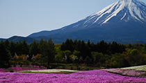 山梨県