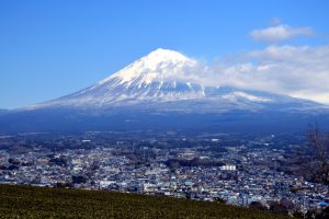 静岡県の腎臓内科医師募集