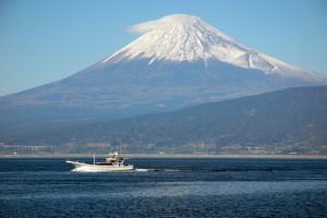 静岡県の医師求人募集マーケットを俯瞰（賀茂医療圏）