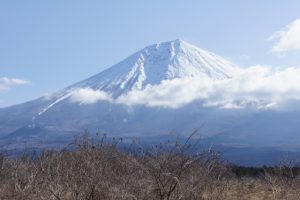 静岡県の医師求人募集マーケットを俯瞰（富士医療圏）