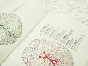 脳神経