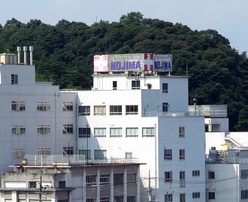 医療法人十字会　野島病院