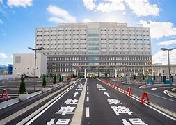 竹田綜合病院